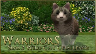 A ForestTouched Wild Cat 🌿 Warrior Cats Sims 3 Legacy  Episode 1 [upl. by Spatola]