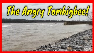 The Angry Tombigbee [upl. by Enyahs]