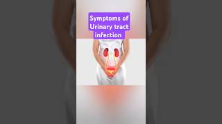 Symptoms of urinary tract infection uti urineproblem shorts ytshorts [upl. by Nylyrehc564]