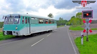 Ferkeltaxe auf der OHEGebrigsbahn  AmelinghausenSottorf [upl. by Wordoow461]