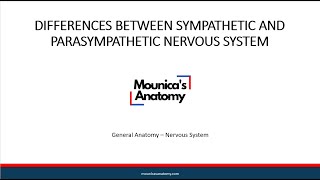 General Anatomy  Differences between Sympathetic and Parasympathetic Nervous System [upl. by Nomrac]