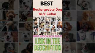 DogRook Rechargeable Dog Bark Collar Review  Humane amp No Shock Barking Collar  Shorts [upl. by Irwinn]