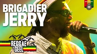 Brigadier Jerry Live at Reggae Geel 2015 [upl. by Kiersten]