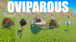 Oviparous Animals Speed Races in Planet Zoo included Crane Dragon Emu Crocodile Platypus [upl. by Carlton]