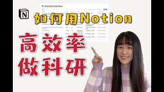 如何用Notion提高科研效率？博士小姐姐的科研流水线 [upl. by Eng807]