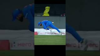 Virat sir ka yah catch kaise yad haicricketcricketnewscricketvideocircketfunnyshortfeedshorts [upl. by Ardyth689]