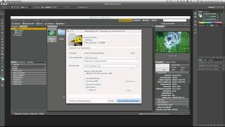 Importare foto da fotocamera con Adobe Bridge [upl. by Erodeht]