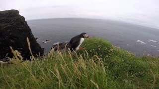 Westfjords Iceland 2014 [upl. by Nuawed]