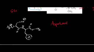 Biochemistry  Catabolism of Asparagine amp Aspartate to Oxaloacetate [upl. by Latty]