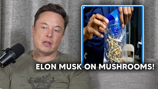 Elon Musk On Taking Mushrooms [upl. by Anirac]