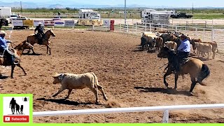 Team Sorting  Rail 3 Ranch Rodeo Censored [upl. by Lounge]