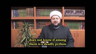 Sunni vs Wahhabi Debate on Saying Ya Muhammad ENG SUBS 12 الرد على دمشقية [upl. by Xet516]