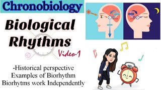 Part1ChronobiologyBiological RhythmsHistory Examples of Biorhythm Biorhytms work independently [upl. by Amor763]