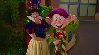 Snow White and Dopey Meet and Greet at NEW Jollywood Nights Event at Disney’s Hollywood Studios [upl. by Robi962]