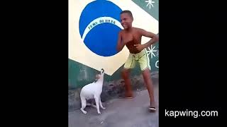 dog dancing meme dog crying sound effect [upl. by Libby633]