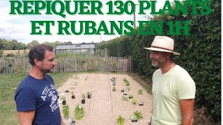 55 Potager  planter 25m2 en 1h [upl. by Ynner666]