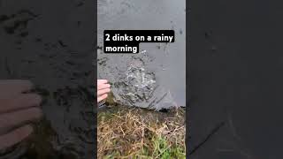 2 dinks on a rainy morning bassfishing fishing [upl. by Langdon]