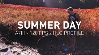 Summer day  Sony A7 iii and Sigma 35mm 14 cinematic grading with Hybrid LOG Gamma Profile [upl. by Mohammed832]