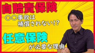 【任意保険って必要？】特定小型原付の自賠責保険が新設＆任意保険についても調査！【電動キックボード】 [upl. by Acimehs]