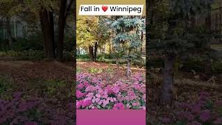 Fall in ❤️with Winnipeg [upl. by Eislek758]