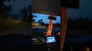 Swift car Drive in night travel nature love vlog wormszoneiobigsnakeskills nature [upl. by Nalliuq]