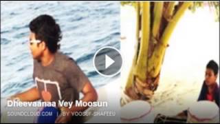 Dheewaanaa Vey Moosun Yoosuf Shafeeu Beru Version [upl. by Leesen]