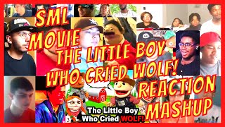 SML MOVIE THE LITTLE BOY WHO CRIED WOLF  REACTION MASHUP  ACTION REACTION [upl. by Shien]