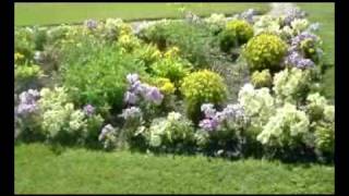 Le jardin du Luxembourg Paris en verano [upl. by Kippie]