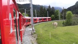 Chur to Arosa by train [upl. by Stretch]