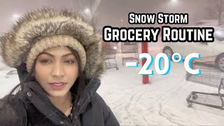 How we do Grocery In Snow Storm 20 °C in Canada Toronto🌪️🥶😱🇨🇦 Heavy Snow Routine [upl. by Broddie399]