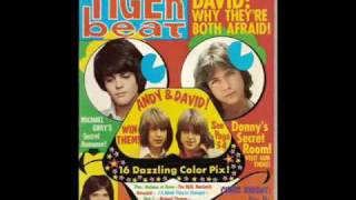 Tiger Beat Magazine [upl. by Ziom]