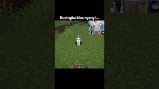 Momen Kucing Minecraft [upl. by Herson]