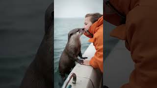 Happy little otter cuteanimalsshortviralvideo [upl. by Ahsenaj]