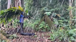 Solo campingcamping the first day was greeted by heavy rain [upl. by Jethro]