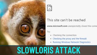 Taking Down Web Servers With SlowLoris  Low and Slow Denial Of Service HINDI [upl. by Mandy]