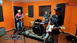 ENSAYO PRIMATE LIVE SES [upl. by Summons650]