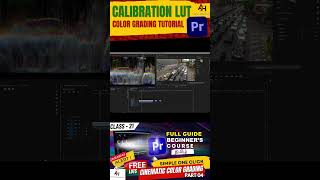 Master Calibration LUTs in Premiere Pro in 60 Seconds 🎨✨ [upl. by Arratal]