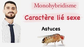 Monohybridisme  caractère lié au sexe  astuces avec prof faress [upl. by Jacquie540]