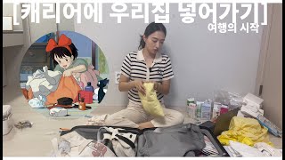 차라리 코끼리를 캐리어에 넣어볼게 🐘여행준비물 짐싸기 보부상 [upl. by Stanford]