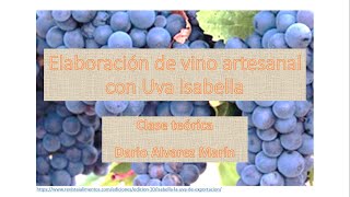 Elaboración de vino artesanal con Uva Isabella Teórico [upl. by Refenej]