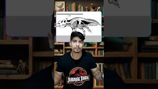 Dinossauros Emplumados ciencia [upl. by Wyatt]