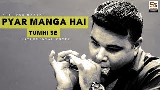 Pyar Manga Hai Tumhi Se  Best Of Bollywood On The Harmonica  shailesh mogre  Instrumental [upl. by Hakilam]