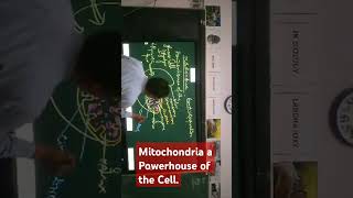 Mitochondria a Powerhouse of the Cell [upl. by Algernon453]