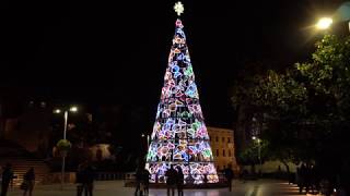 Lighting the Christmas Tree amp Lights on Larios Street Málaga Spain [upl. by Yusem]