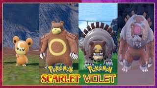 Pokemon Scarlet amp Violet How To Evolve Teddiursa Into Ursaring amp Forms [upl. by Arun]