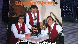 DAS STOAKOGLER TRIO guten abend freunde 1978 [upl. by Shenan766]