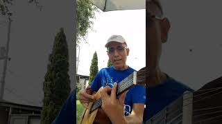 LA HIEDRA VENENOSA 🥀Poison Ivy 🎼 Los Rebeldes del Rock 🎸 Cover [upl. by Whitney]