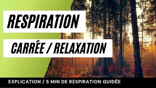 RESPIRATION CARRÉE  RELAXATION Explication  respiration guidée 5 min [upl. by Deina966]