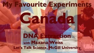 My Favourite Experiment  DNA Extraction  Maxana Weiss  Let’s Talk Science McGill University [upl. by Latricia324]