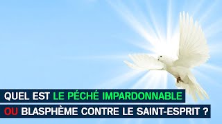 Quel est le péché impardonnable ou blasphème contre le SaintEsprit  051 [upl. by Leroy]